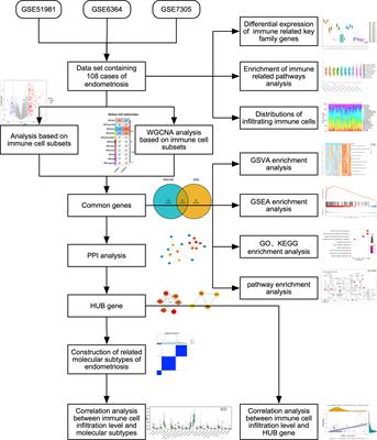 Identification of molecular subtypes and immune infiltration in endometriosis: a novel bioinformatics analysis and In vitro validation